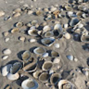 Meet your Posher, Kathi